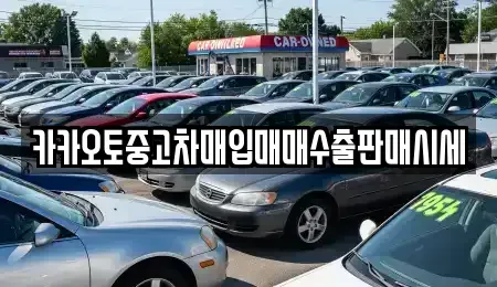 충청남도 공주시 신기동 중고차 전문 카카오토중고차매입매매수출판매시세