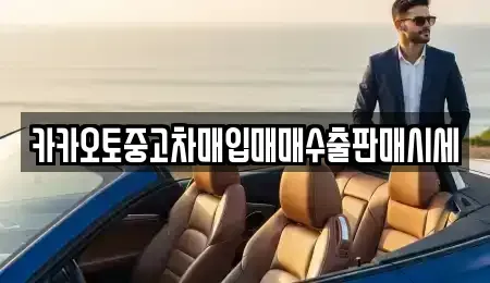 충청남도 공주시 중고차매입 전문 카카오토중고차매입매매수출판매시세