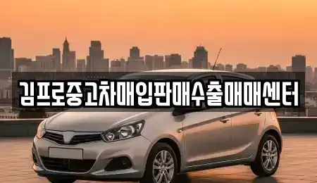 충청남도 서천군 중고차매입 전문 김프로중고차매입판매수출매매센터