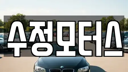 충청북도 영동군 학산면 중고차 전문 수정모터스