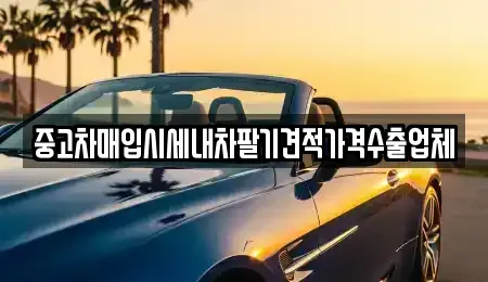 충청북도 제천시 화산동 중고차매입 전문 중고차매입시세내차팔기견적가격수출업체