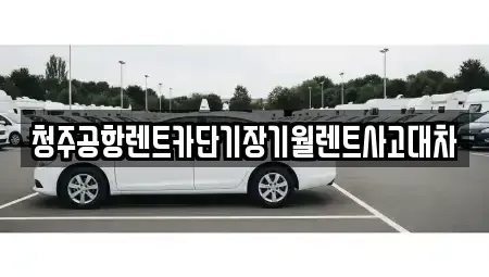 충청북도 청주시 상당구 영운동 렌트카 전문 청주공항렌트카단기장기월렌트사고대차