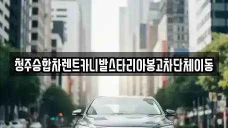 충청북도 청주시 상당구 영운동 렌트카 전문 청주승합차렌트카니발스타리아봉고차단체이동