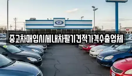 충청북도 청주시 상당구 영운동 중고차 전문 중고차매입시세내차팔기견적가격수출업체