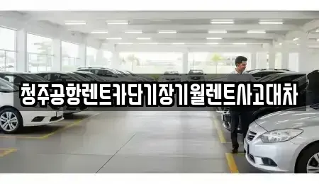 충청북도 청주시 상당구 용정동 단기렌트카 전문 청주공항렌트카단기장기월렌트사고대차