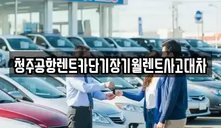충청북도 청주시 흥덕구 송절동 렌트카 전문 청주공항렌트카단기장기월렌트사고대차
