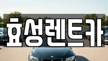 충청북도 충주시 달천동 렌트카 전문 효성렌트카