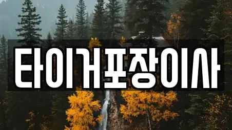 타이거포장이사